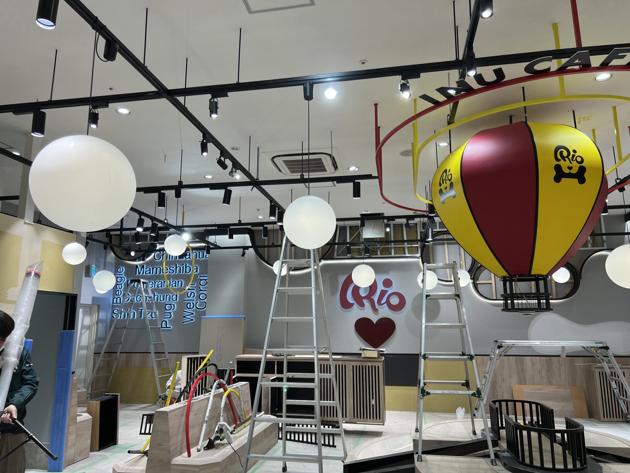 大型複合施設いぬカフェ_店舗改修工事 - 1